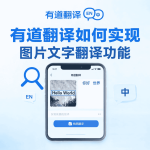 有道翻译怎么使用网络释义功能？